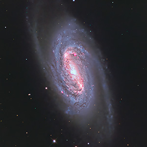 NGC2903銀河